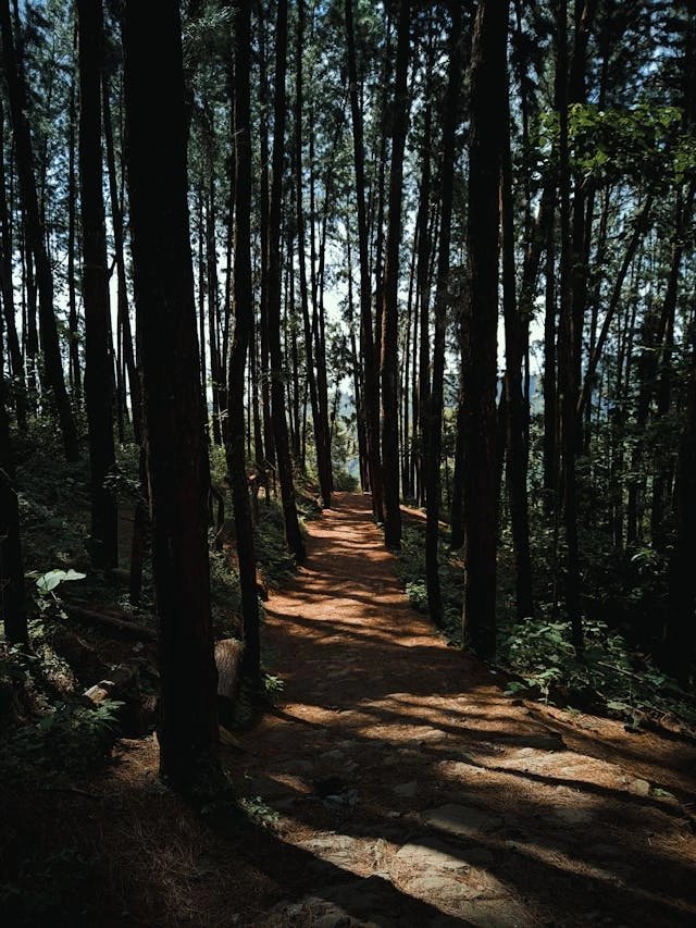 Vagamon Weekend Tour