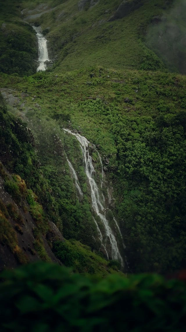 Vagamon Nature Retreat