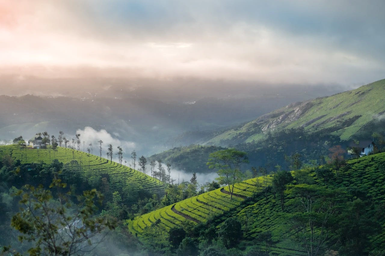Vagamon Sightseeing Tour Packages